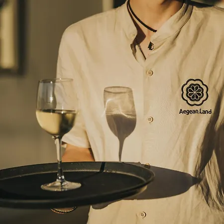 فندق Aegean Palace 4*