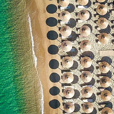 Ξενοδοχείο Aegean Palace Maragkas