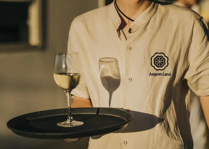 Hotell Aegean Palace 4*